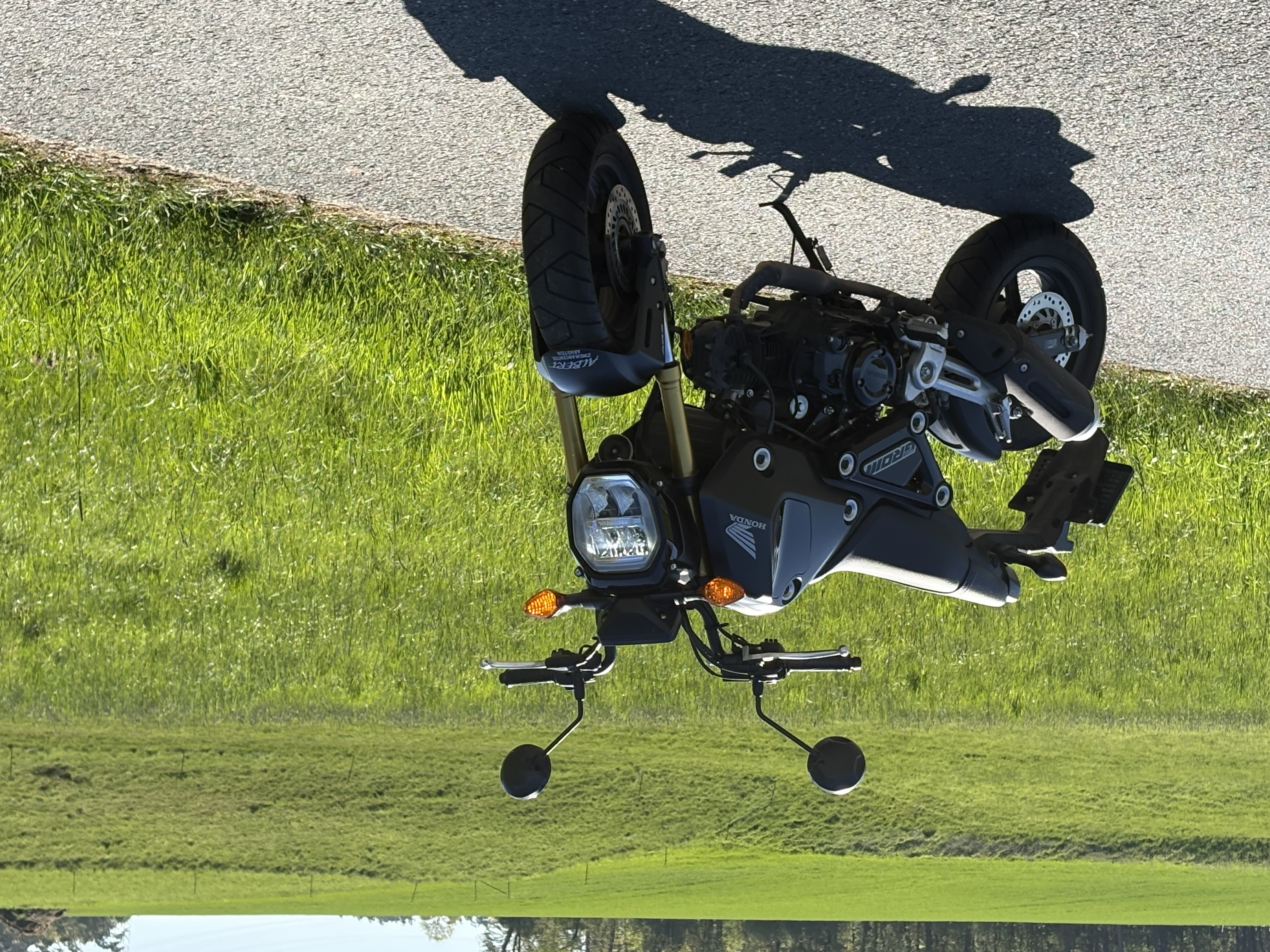 Honda MSX 125 – B196
